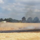 Blunk mit Wasserfass beim Brandeinsatz auf Getreidefeld
