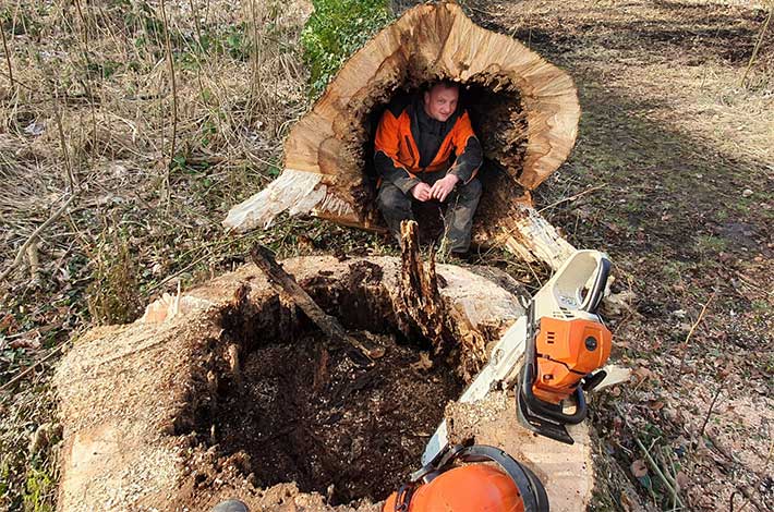 Blunk Umwelt-Team bei Baumfällung zur Gefahrenbeseitigung 06