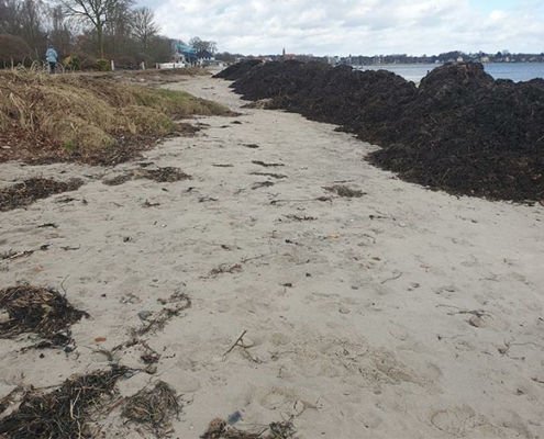 Blunk-Team Holtsee stellt vom Orkan zerstörten Strand wieder her 42